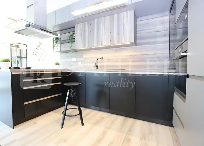 Einpark Fabulous With Private Parking ブラチスラヴァ